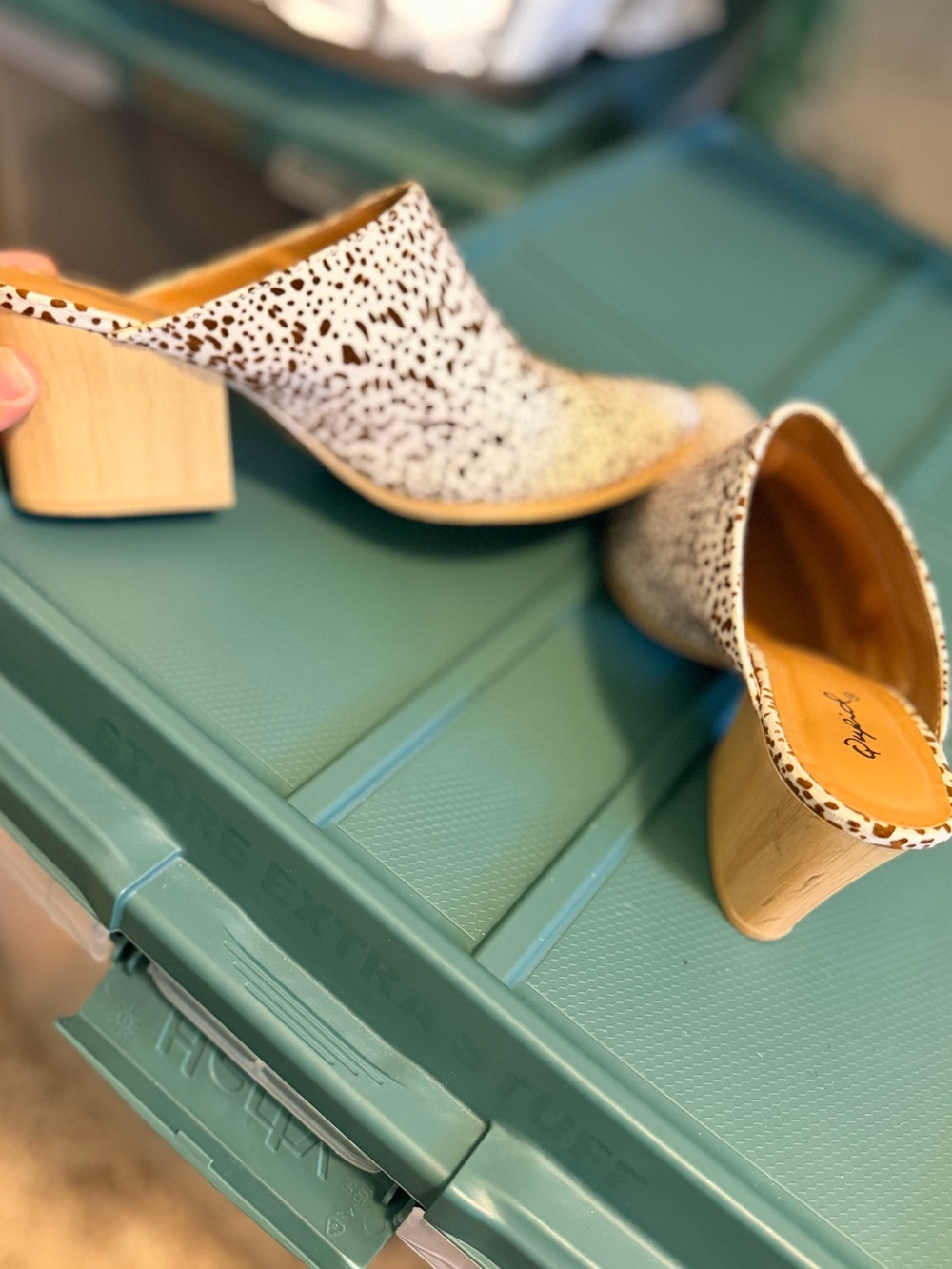 Qupid Dalmatian-Print Pointed Mule in White & Brown - Picture 5 of 5